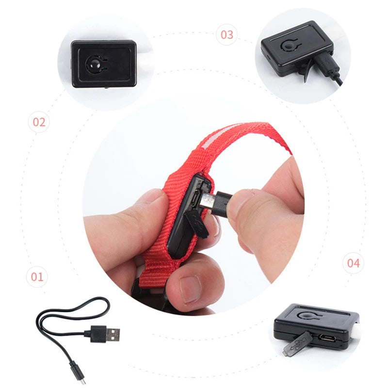 LumaGlow Pet Collar