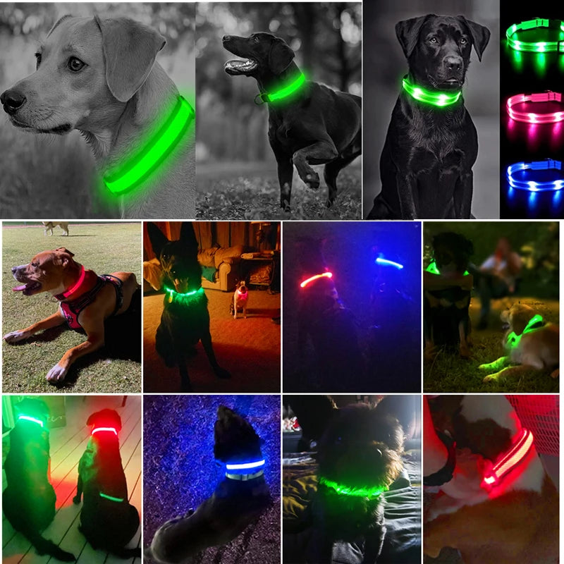 LumaGlow Pet Collar