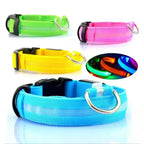 LumaGlow Pet Collar