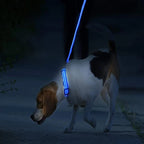 LumaGlow Pet Collar