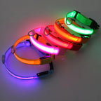 LumaGlow Pet Collar