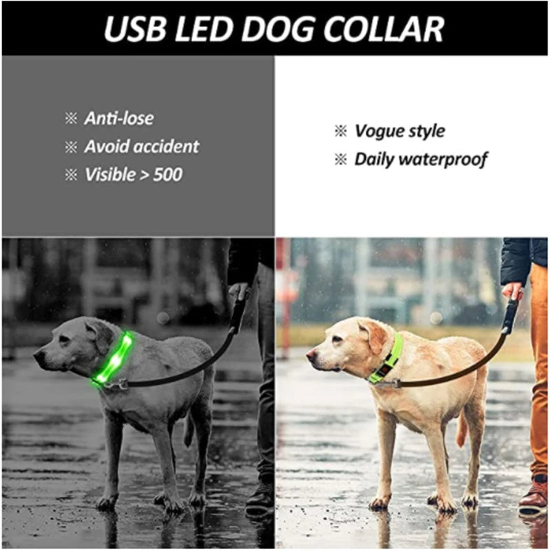 LumaGlow Pet Collar