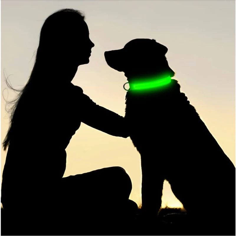 LumaGlow Pet Collar