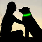 LumaGlow Pet Collar