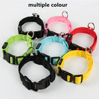 LumaGlow Pet Collar